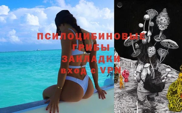 шишки Алексин