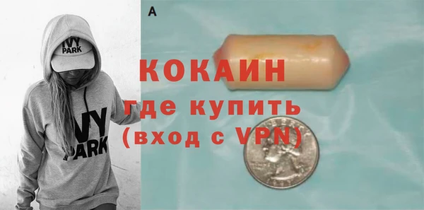твердый Алзамай
