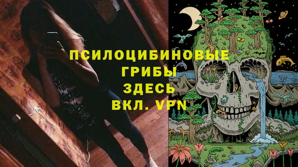 тгк Алексеевка