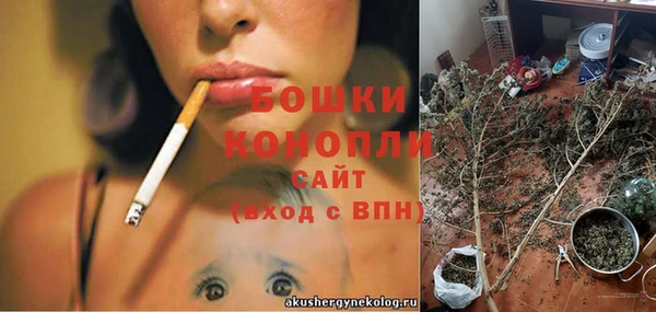 шишки Алексин