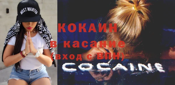 твердый Алзамай